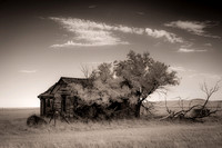Cottonwood SD Old Cabin Infrared 0448