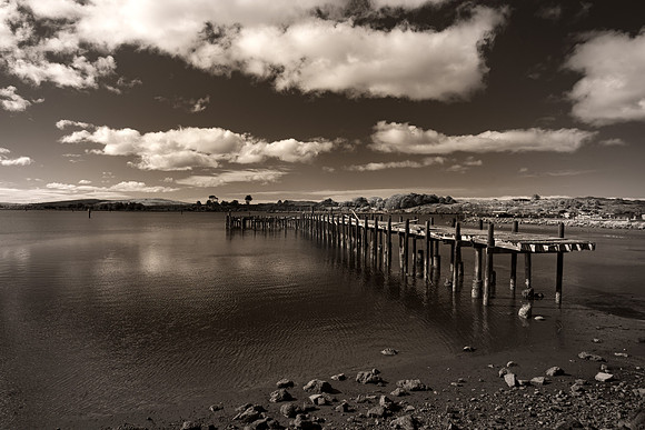 Bodega Bay CA Infrared 0130