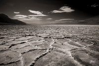 Infrared Landscape