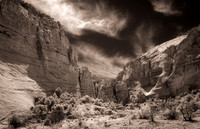 Grand Wash Infrared 4966