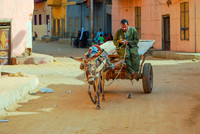 Egypt 2 2012 735