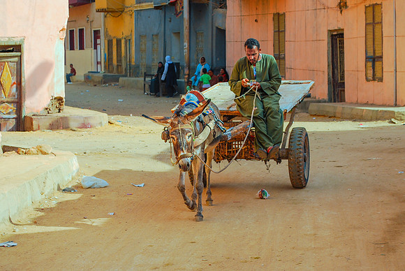 Egypt 2 2012 735
