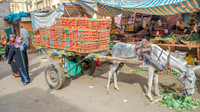 Egypt 1 2012 719