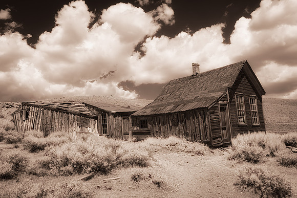 Bodie Home Toned Infrared 1222