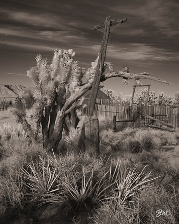 Mojave Afternoon Infrared 00