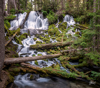 Clearwater Falls Oregon 7444