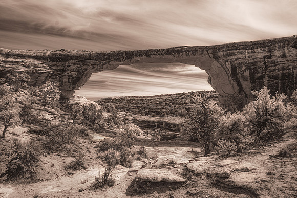 Owachomo Bridge, Natural Bridges NM