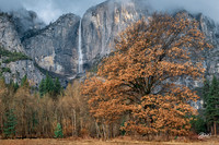 Yosemite Valley 952