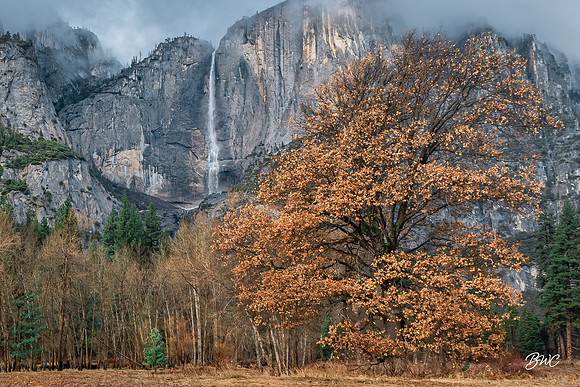 Yosemite Valley 952