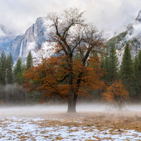 Yosemite Valley 973