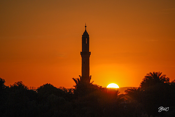 View From the Nile 2012 317