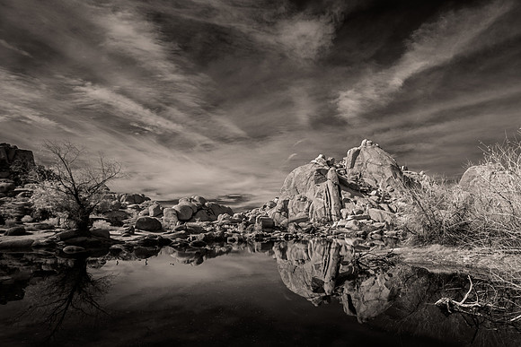 Joshu Tree Barker Dam Infrared 8588