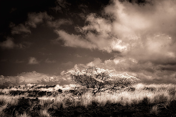 Big Island Hawaii Infrared 2445